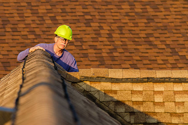 Best Storm Damage Roof Repair  in Lexington, IL